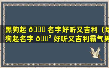 黑狗起 🐒 名字好听又吉利（给狗起名字 🌲 好听又吉利霸气男）